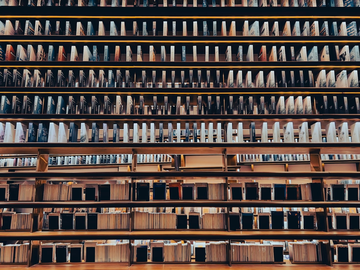 The Creative Journey Of A Debut Novelist